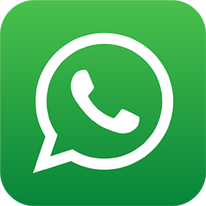 Whatsapp icon